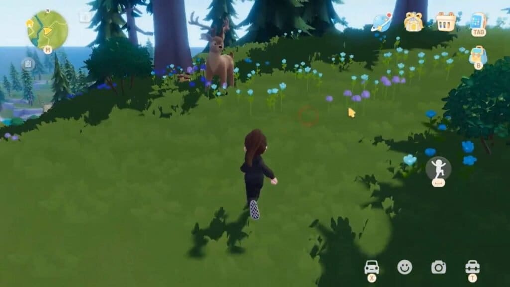 Heartopia All Wild Animal Locations